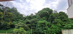 Clementi Park (D21), Condominium #251438251